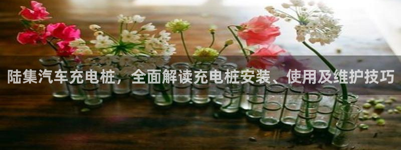 威廉希尔不开盘的比赛叫什么：陆集汽车充电桩，全面解读充电桩安装、使用及维护技巧