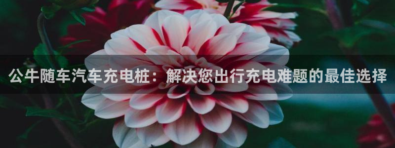 威廉和澳门区别解析：公牛随车汽车充电桩：解决您出行充电难题的最佳选择