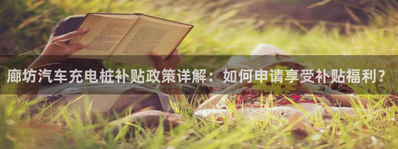 威廉希尔 500：廊坊汽车充电桩补贴政策详解：如何申请享受补贴福利？