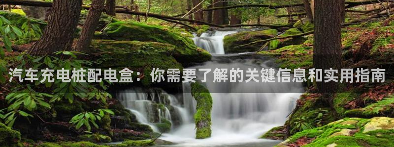 威廉希尔和it对比：汽车充电桩配电盒：你需要了解的关键信息和实用指南