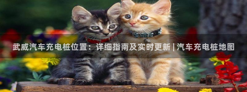 威廉体育官方app下载：武威汽车充电桩位置：详细指南及实时更新 | 汽车充电桩地图