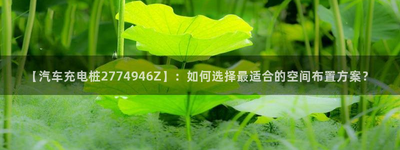 威廉希尔 1.95 3.40 3.30：【汽车充电桩2774946Z】：如何选择最适合的空间布置方案？