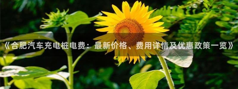 威廉希尔西甲1.44,4.6,6.5什么赛果