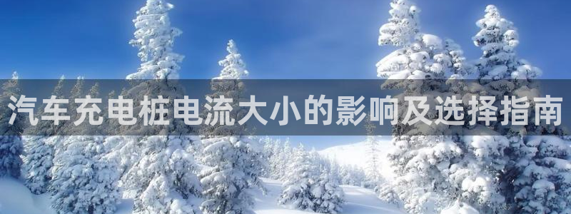 威廉国际骗局：汽车充电桩电流大小的影响及选择指南