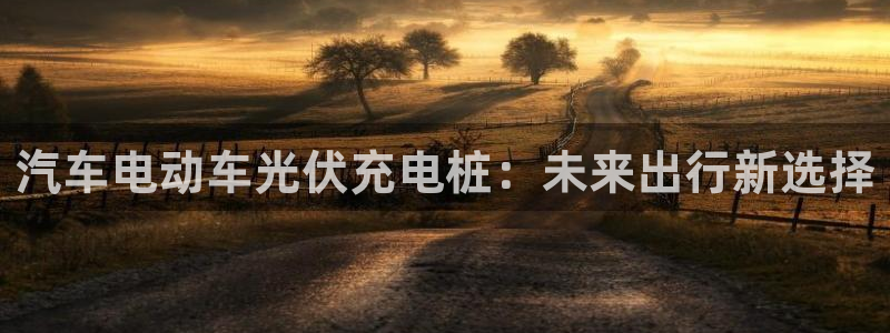 威廉希尔 1.80 4.00 3.40：汽车电动车光伏充电桩：未来出行新选择
