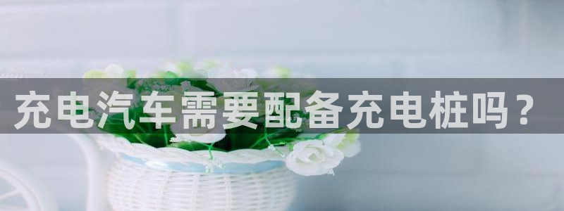 威廉体育官方app下载安卓版：充电汽车需要配备充电桩吗？