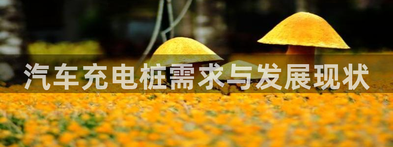 威廉指标什么意思：汽车充电桩需求与发展现状