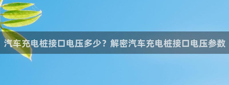 威廉指数是什么：汽车充电桩接口电压多少？解密汽车充电桩接口电压参数