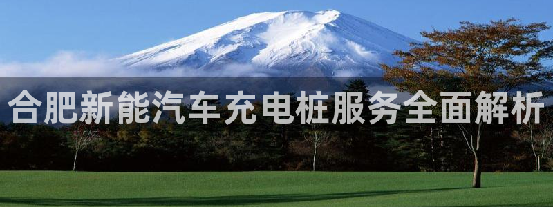 意甲威廉希尔初盘1.67 3.9 4.5