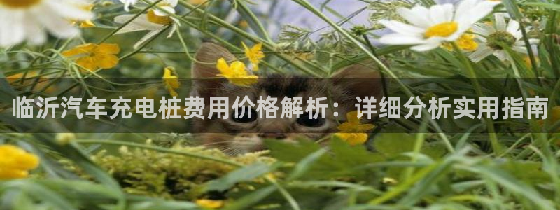 威廉客户端app下载安卓