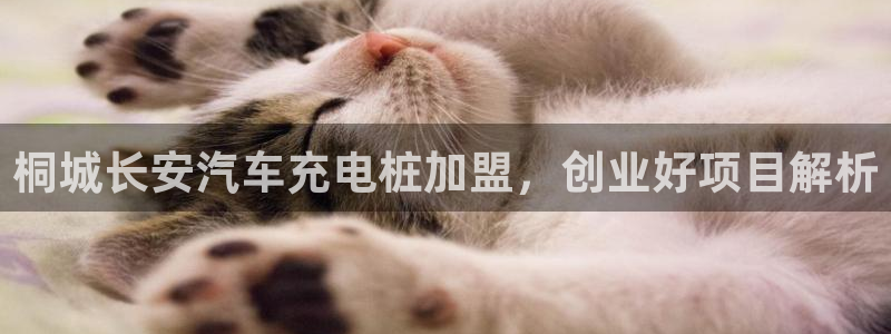 威廉足球 厉害吗：桐城长安汽车充电桩加盟，创业好项目解析