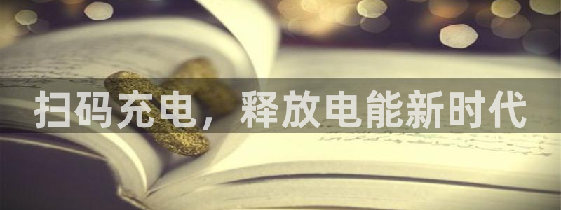 威廉体育官方app下载安装手机版：扫码充电，释放电能新时代