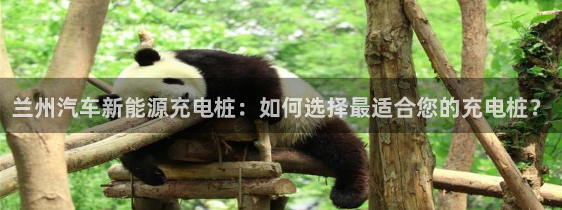 威廉希尔香港俱乐部：兰州汽车新能源充电桩：如何选择最适合您的充电桩？