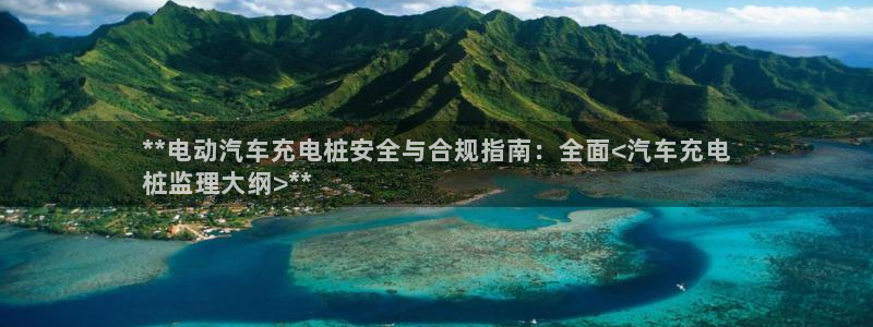 威廉希尔网址9什么：**电动汽车充电桩安全与合规指南：全面<汽车充电
桩监理大纲>**