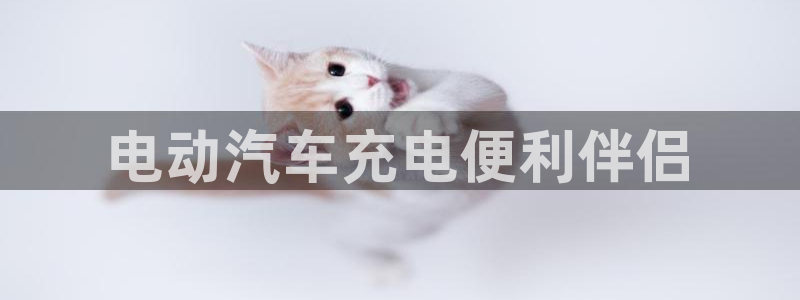 威廉国际是什么app：电动汽车充电便利伴侣