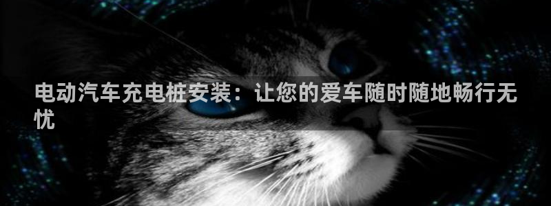 威廉体育官方app下载安装：电动汽车充电桩安装：让您的爱车随时随地畅行无
忧