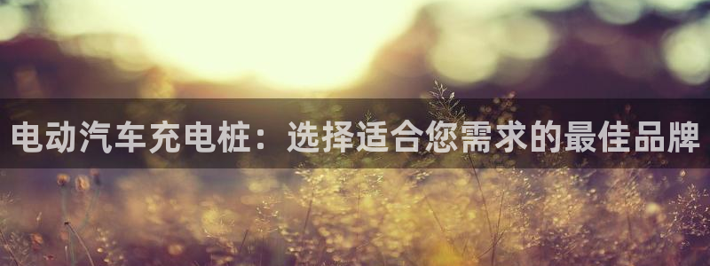 威廉希尔足球分析师：电动汽车充电桩：选择适合您需求的最佳品牌