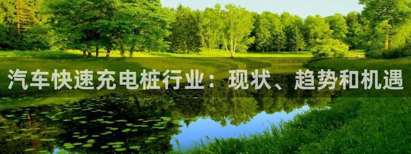 威廉希尔挪超对应赛果：汽车快速充电桩行业：现状、趋势和机遇