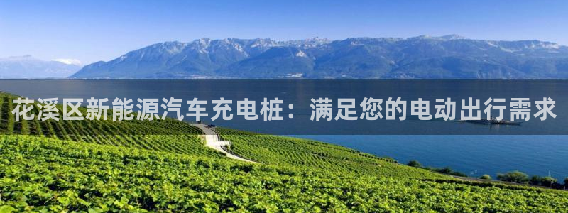 威廉指标什么意思：花溪区新能源汽车充电桩：满足您的电动出行需求