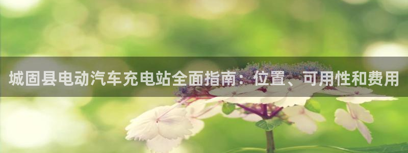 威廉国际学校：城固县电动汽车充电站全面指南：位置、可用性和费用