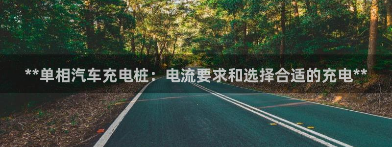 威廉指数详解：**单相汽车充电桩：电流要求和选择合适的充电**