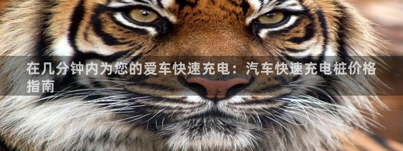威廉公司官网：在几分钟内为您的爱车快速充电：汽车快速充电桩价格
指南