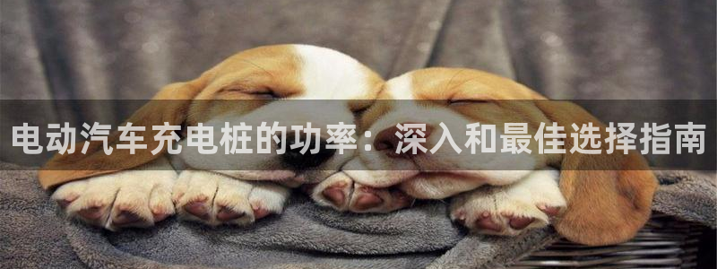 威廉国际app下载安卓：电动汽车充电桩的功率：深入和最佳选择指南
