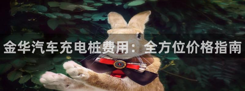 威廉希尔94体系标准盘：金华汽车充电桩费用：全方位价格指南