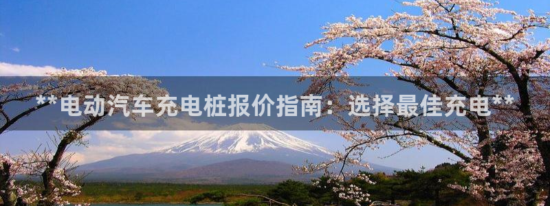 搜索威廉游戏主播直播：**电动汽车充电桩报价指南：选择最佳充电**