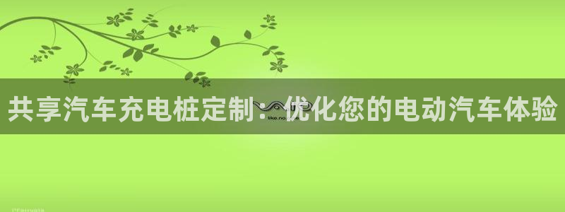 威廉希尔官网如何进入：共享汽车充电桩定制：优化您的电动汽车体验