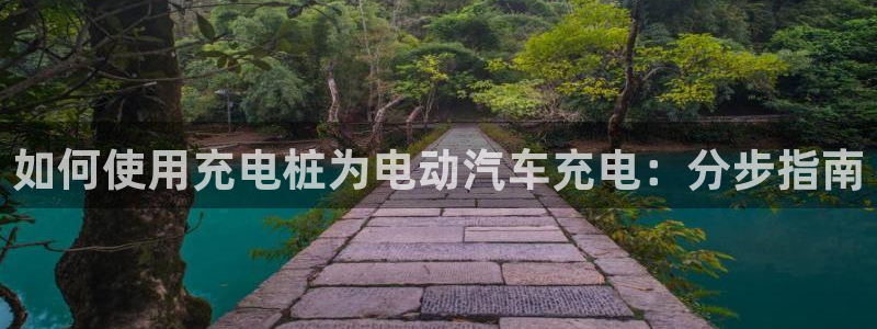 威廉希尔大小球水位：如何使用充电桩为电动汽车充电：分步指南