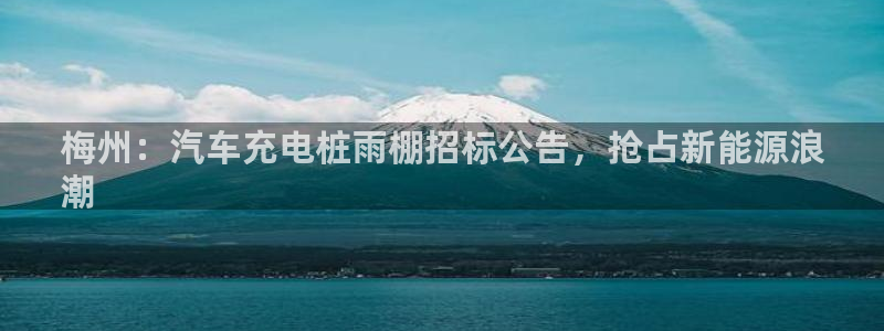 威廉希尔app怎么用：梅州：汽车充电桩雨棚招标公告，抢占新能源浪
潮