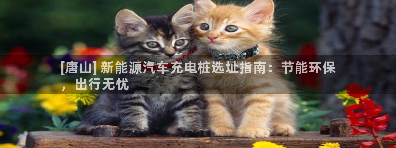 威廉希尔网站会不会取不了钱：[唐山] 新能源汽车充电桩选址指南：节能环保
，出行无忧
