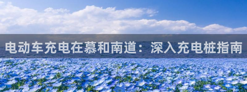 威廉希尔在中国怎么买的：电动车充电在慕和南道：深入充电桩指南