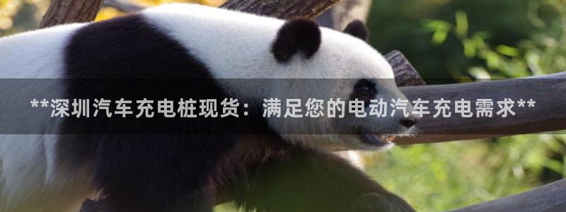 威廉希尔日职2.60是什么意思：**深圳汽车充电桩现货：满足您的电动汽车充电需求**