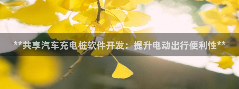 威廉希尔在中国没上线是吧：**共享汽车充电桩软件开发：提升电动出行便利性**