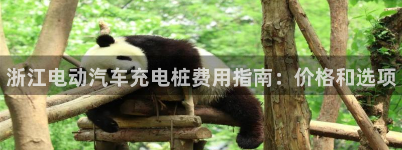 威廉指数是什么：浙江电动汽车充电桩费用指南：价格和选项