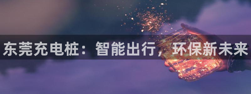 希尔顿威廉姆斯：东莞充电桩：智能出行，环保新未来