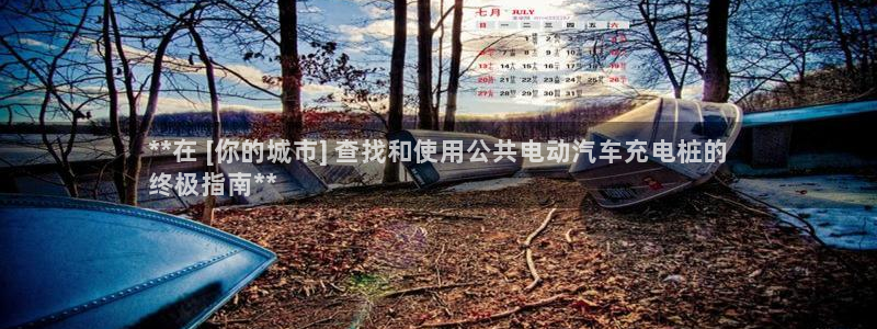 威廉希尔大小球怎么看：**在 [你的城市] 查找和使用公共电动汽车充电桩的
终极指南**