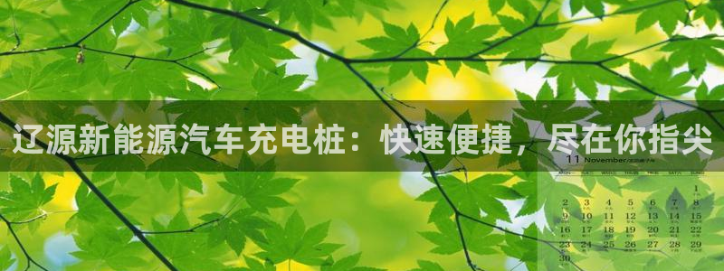威廉希尔指数一欧州指数：辽源新能源汽车充电桩：快速便捷，尽在你指尖