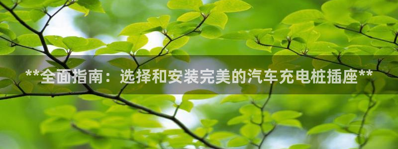 威廉谈球：**全面指南：选择和安装完美的汽车充电桩插座**