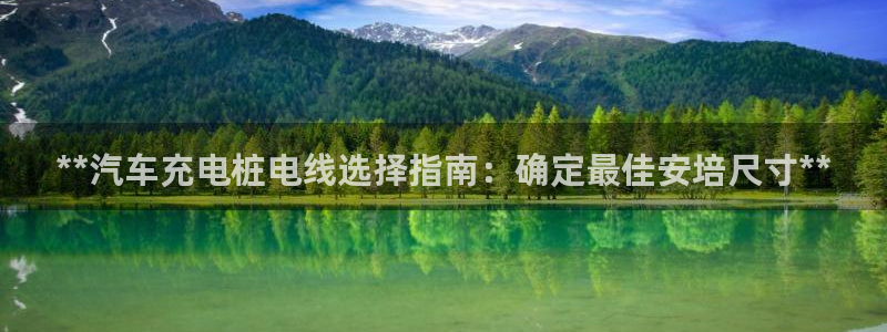 威廉希尔 1.33：**汽车充电桩电线选择指南：确定最佳安培尺寸**