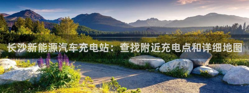 威廉希尔大小球指数怎么看：长沙新能源汽车充电站：查找附近充电点和详细地图
