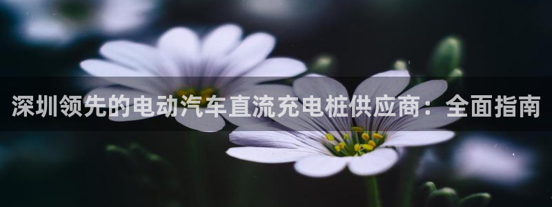 威廉希尔胜平负概率：深圳领先的电动汽车直流充电桩供应商：全面指南