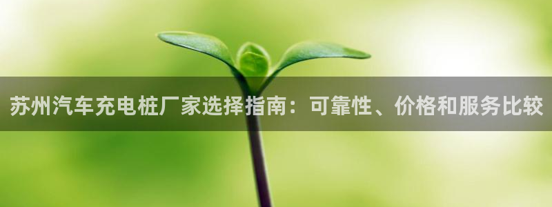 国内威廉希尔平台是真的吗：苏州汽车充电桩厂家选择指南：可靠性、价格和服务比较
