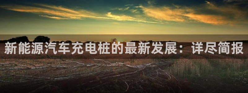 威廉希尔反波胆平台多久：新能源汽车充电桩的最新发展：详尽简报