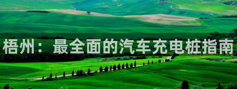 威廉希尔进球数的开盘特点：梧州：最全面的汽车充电桩指南