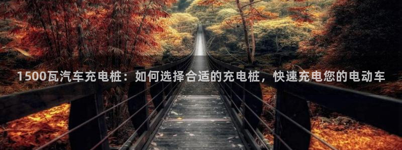 球员威廉：1500瓦汽车充电桩：如何选择合适的充电桩，快速充电您的电动车