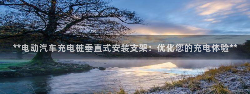 威廉希尔在中国没上线是吧：**电动汽车充电桩垂直式安装支架：优化您的充电体验**