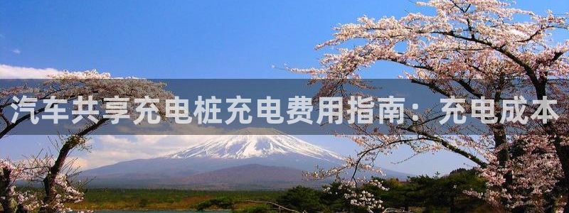 威廉希尔interwetten指数：汽车共享充电桩充电费用指南：充电成本